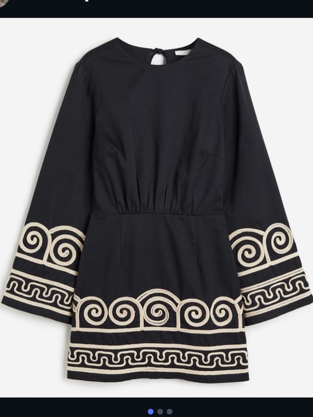 H&M Embroidered Black Mini Dress